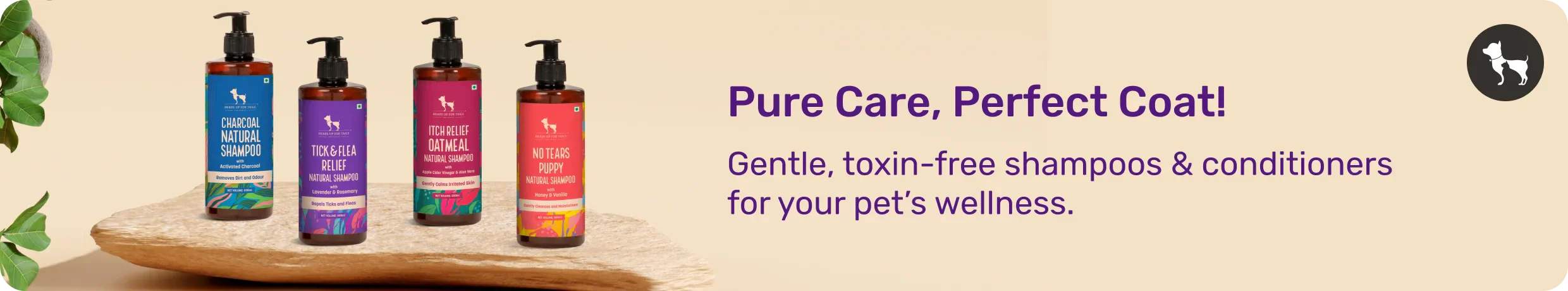 grooming_web_cacfffb0-cc72-4440-925c-811d9aee0103